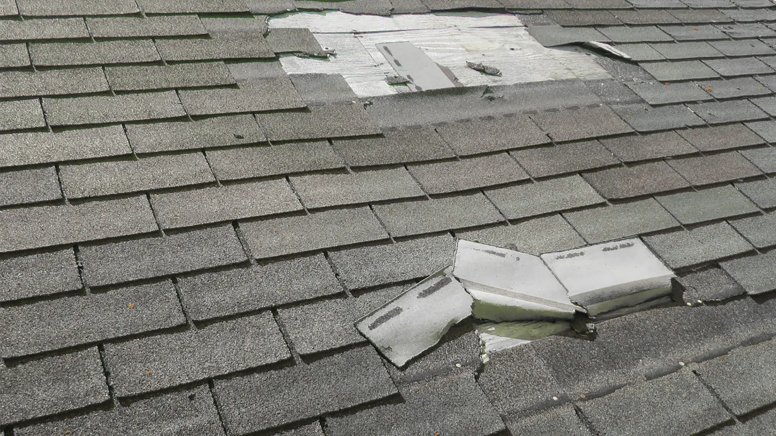 Missing and creased shingles exposing bare wood on a gray roof